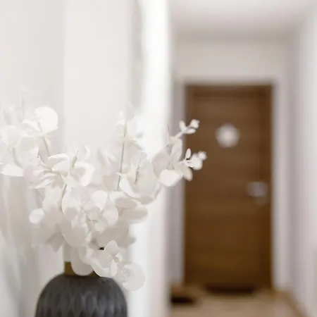 Maison Etoile - Sole Apartmán